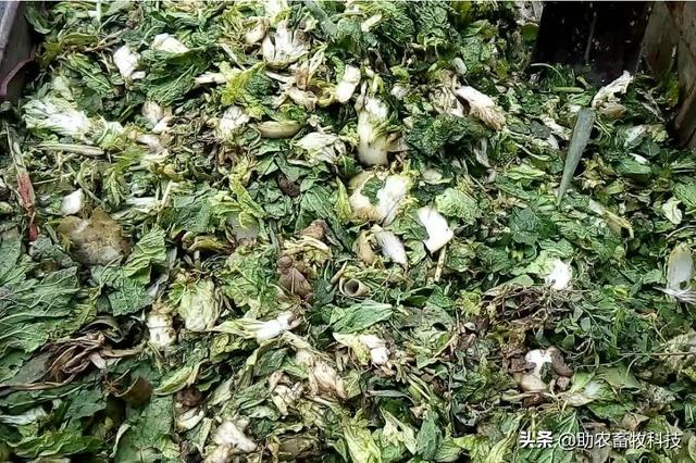 果蔬廢棄物垃圾怎樣進行科學資源化無害化減量化處理？